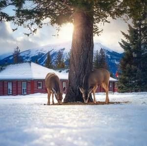 Meet your Posher, Marwah